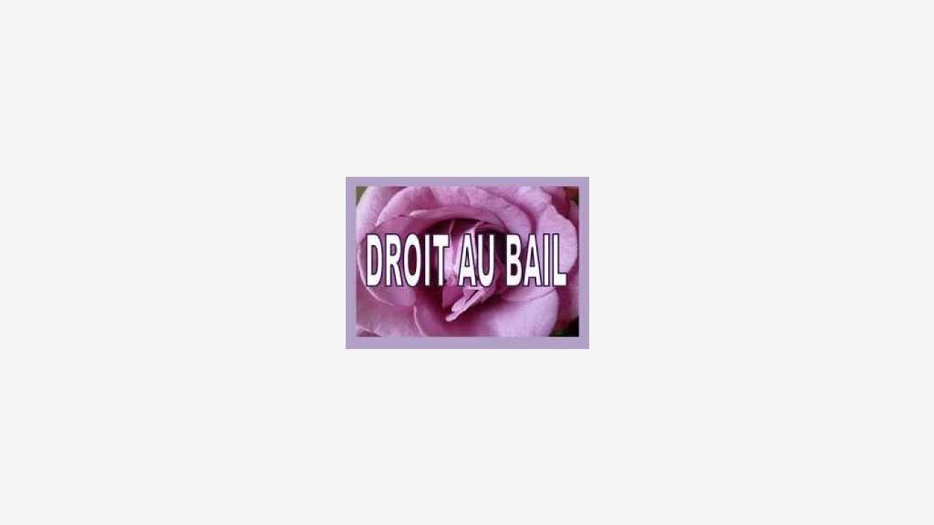 Droit au bail 60m² à Nantes hyper centre Graslin
