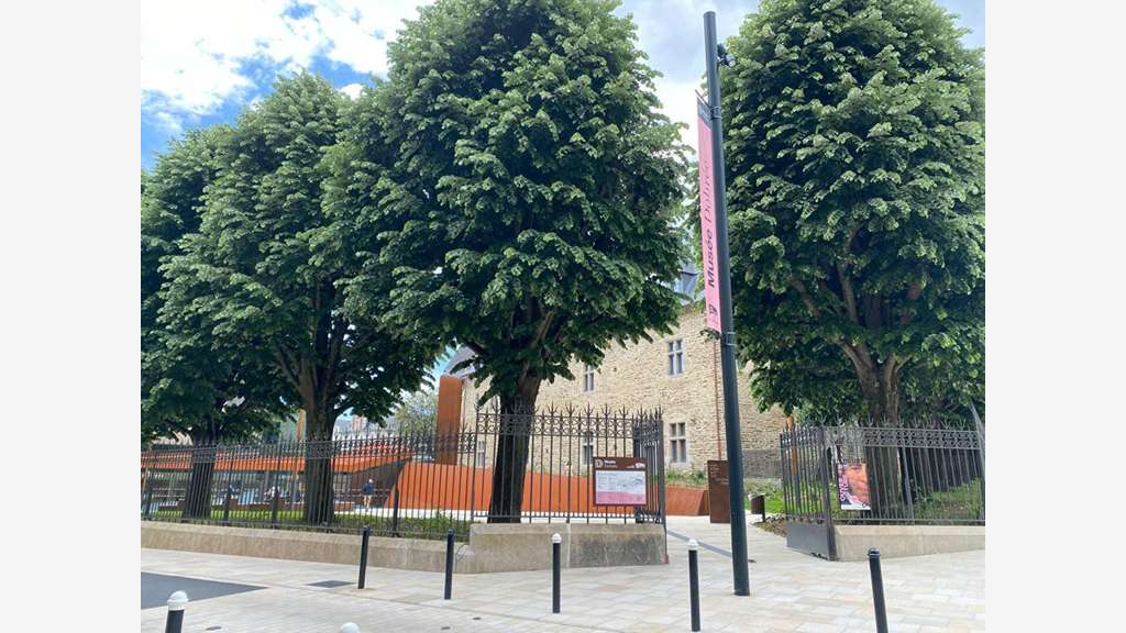 Vente murs occupés loués Nantes Graslin Voltaire