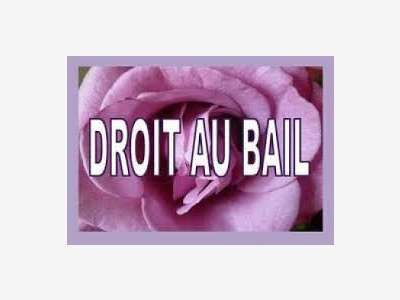 Droit au bail 68m² empl N°1 Nantes hyper centre