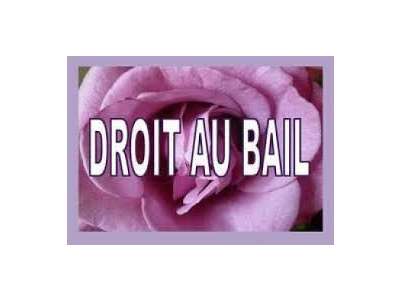 Cession droit au bail Locaux commerciaux - Boutiques à Nantes