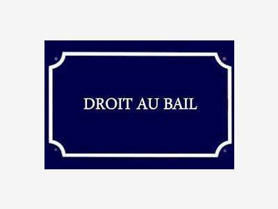 DAB commerce de bouche 70m² axe passant sur Nantes