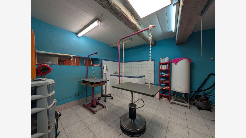 Cède dab local animalerie de 35m² à Pézenas centre