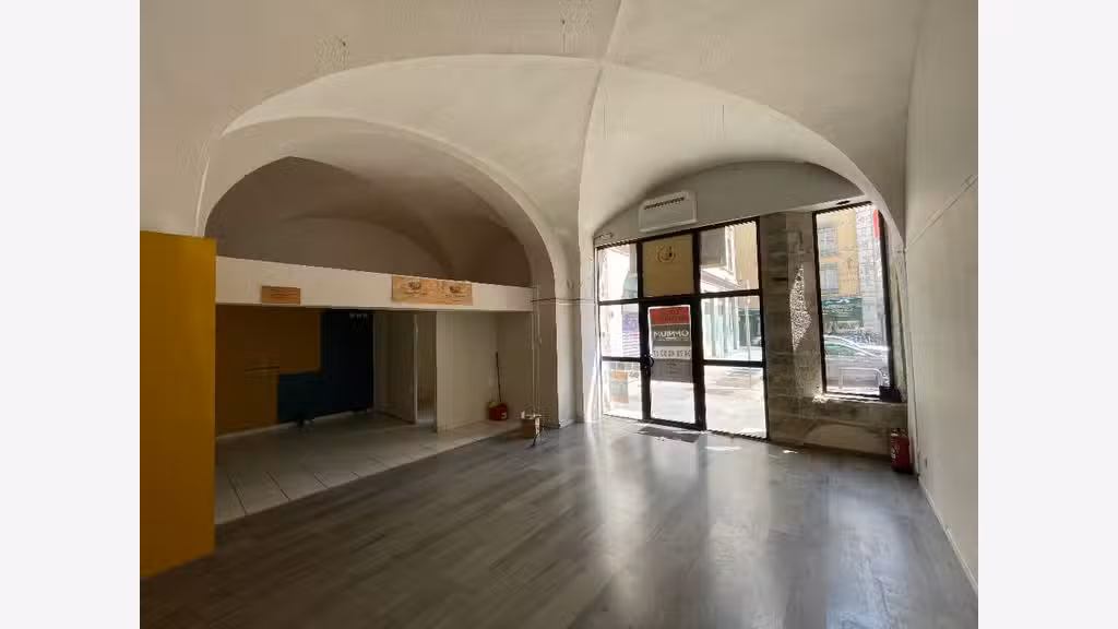 Local commercial à louer Lyon 1