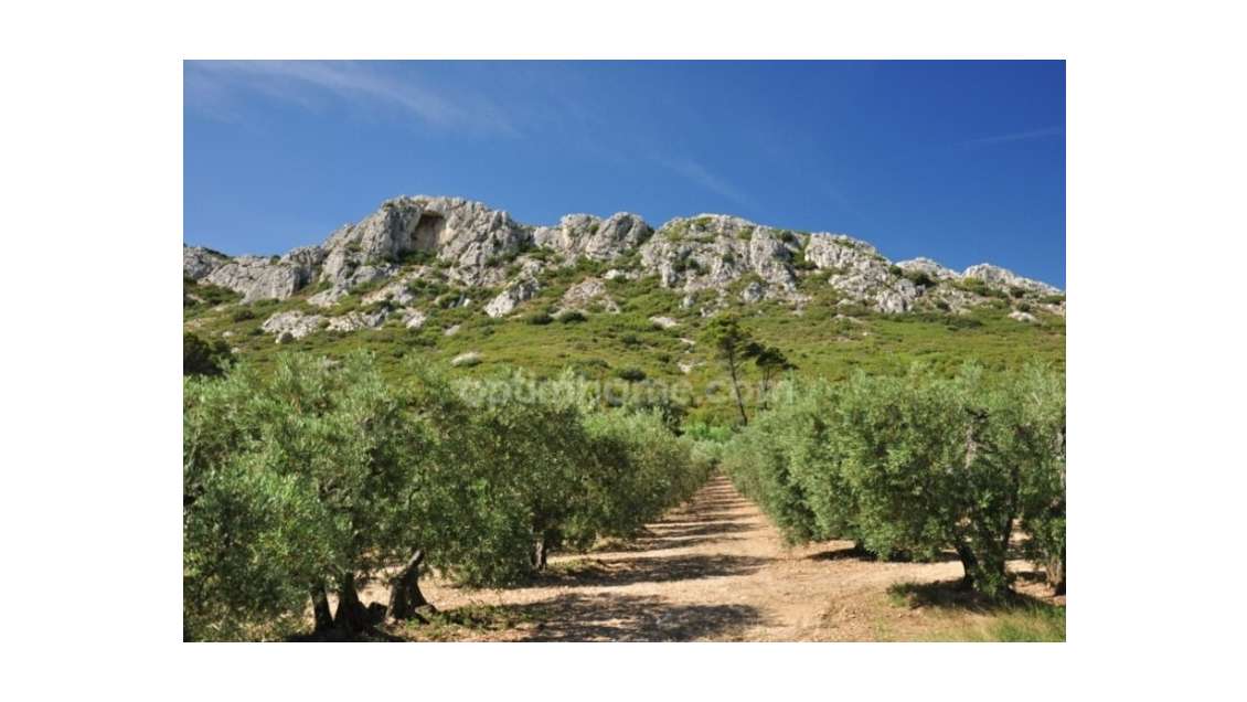 DAB local 88m² à Saint-Rémy-de-Provence