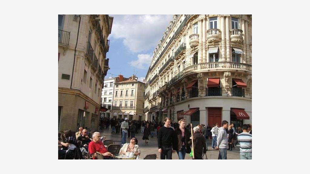 DAB boutique plain-pied 170m² Montpellier Ecusson