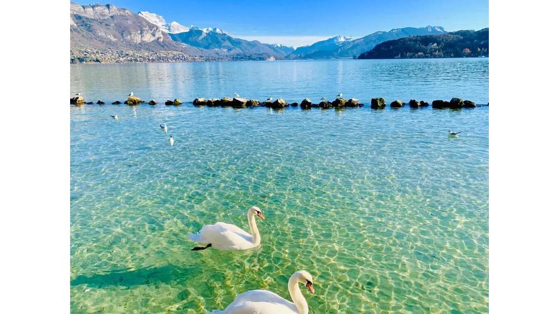 Droit au bail local avec extraction à Annecy 