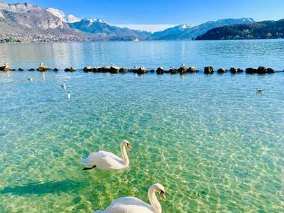 Droit au bail local avec extraction à Annecy