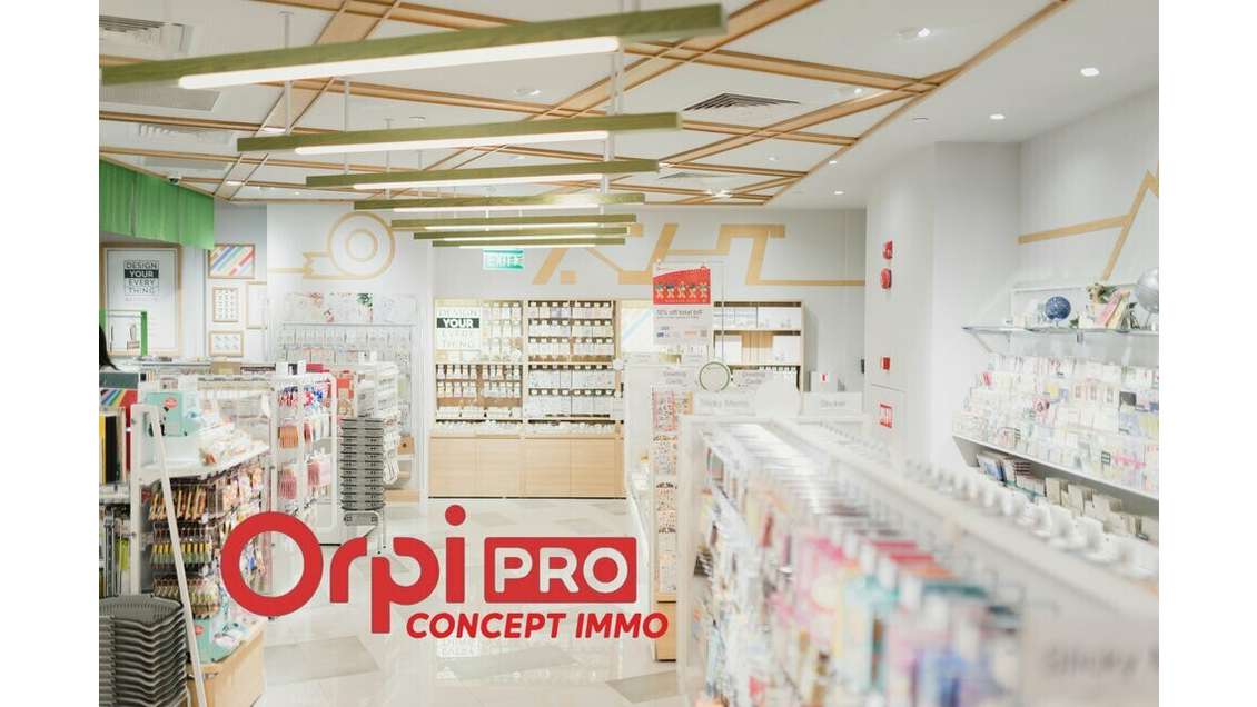 DAB local professionnel 137m² à Mées