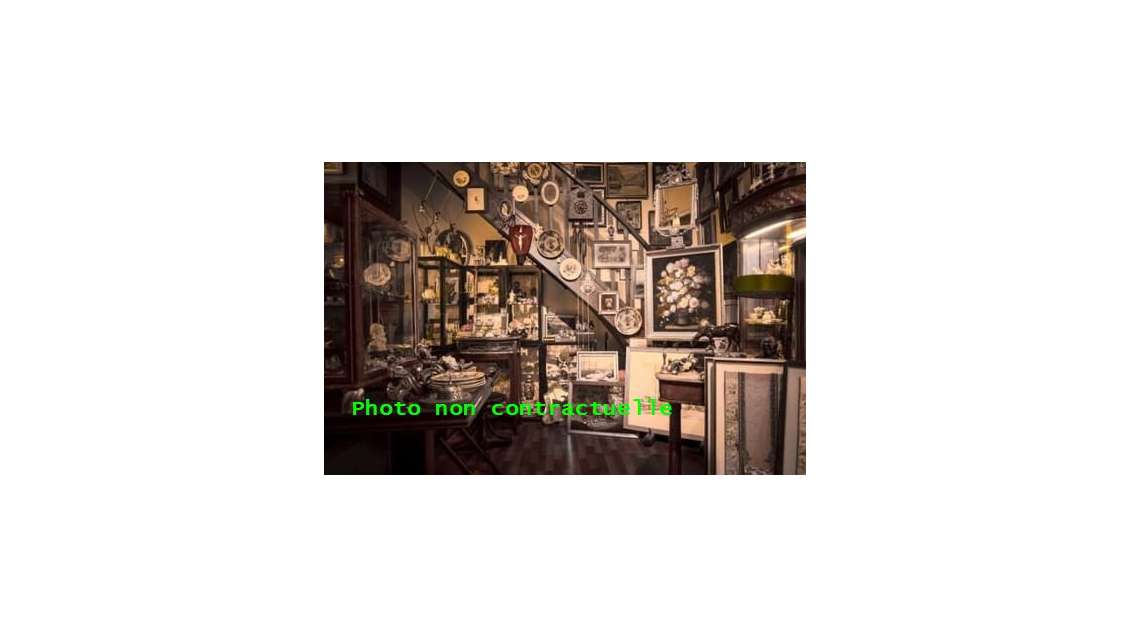 Cède local 207m² à Aix-les-Bains emplacement n°1