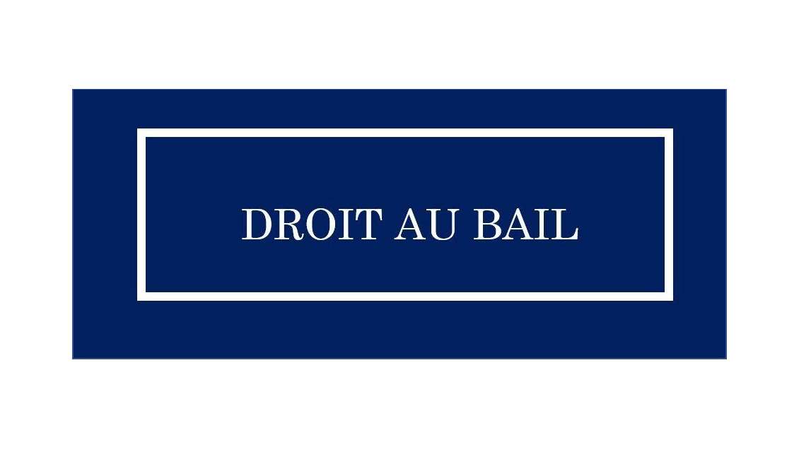 DAB local commercial 60m² Lyon 6e Vitton Brotteaux