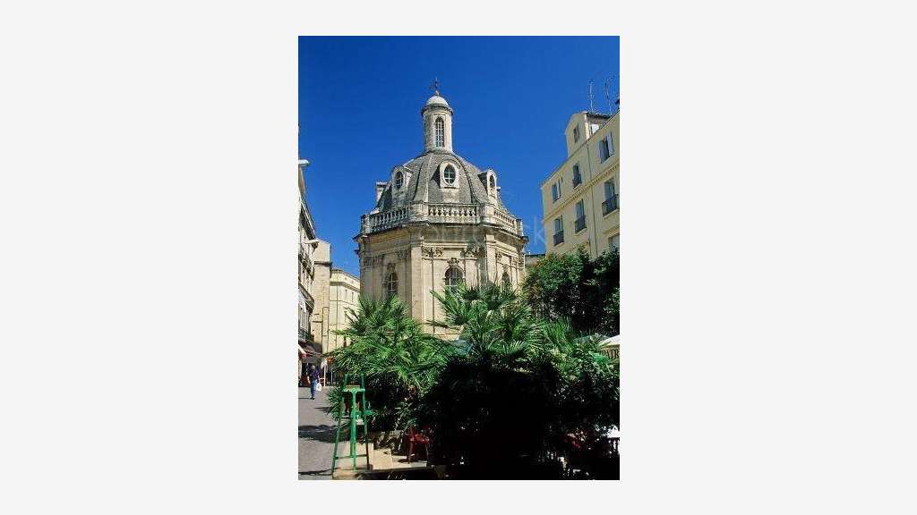 DAB boutique 55m² à Montpellier écusson