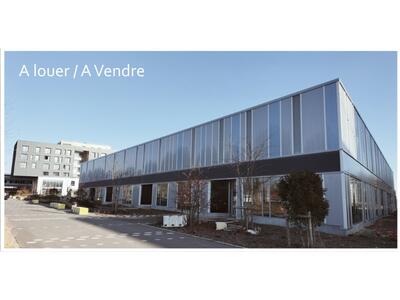 Location Locaux commerciaux - Boutiques à Valenciennes