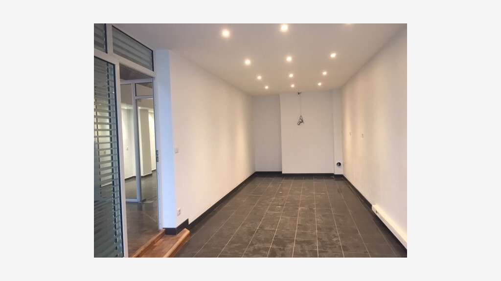 A louer local 161m² Lyon 69001 Quai Saint Vincent
