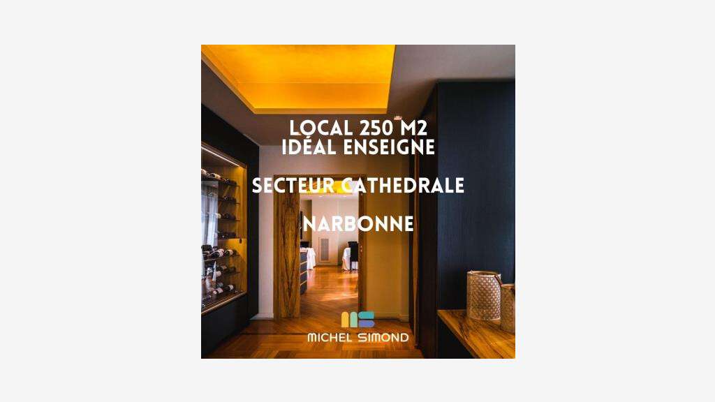 A louer magnifique local 250m² bel empl à Narbonne