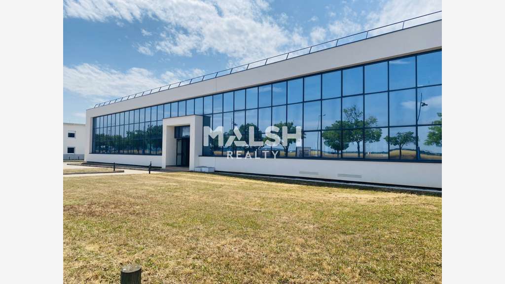 Bureaux - A LOUER - BRON - 829 m² divisibles à par