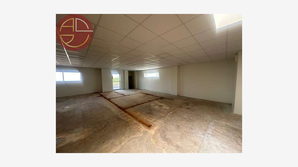 NORD-OUEST TOULOUSE  COLOMIERS  À LOUER  300 M²