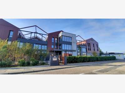 Bureaux de 124 à 285m² à louer Dardilly Techlid 