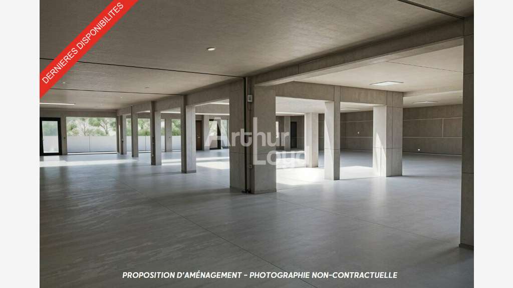 DRUMETTAZ CLARAFOND - BUREAUX / LOCAUX