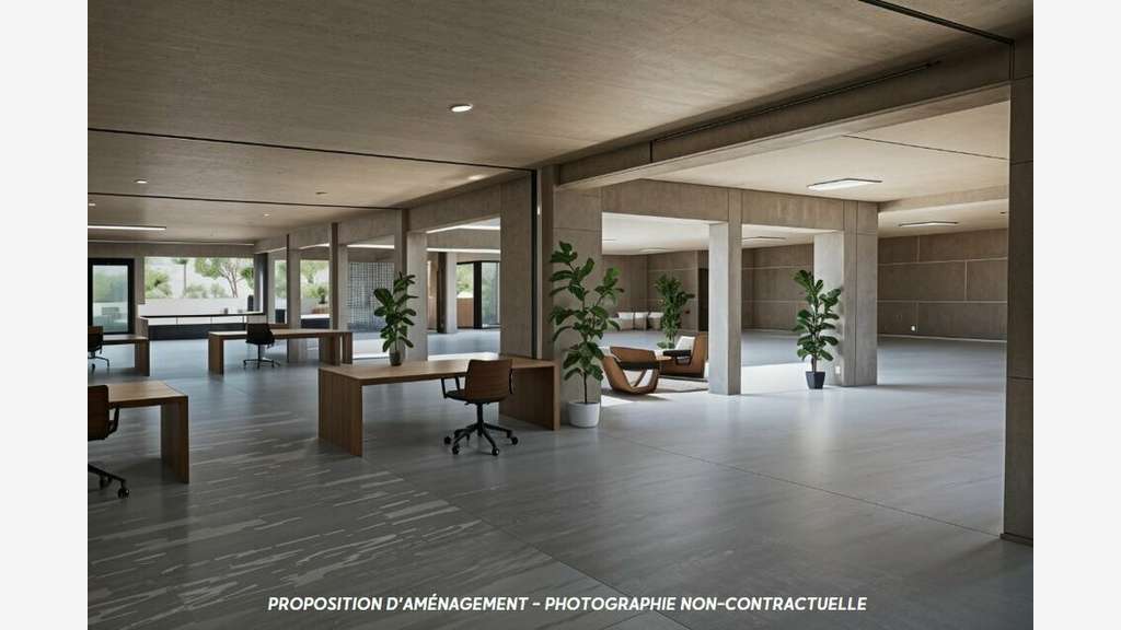 DRUMETTAZ CLARAFOND - BUREAUX / LOCAUX