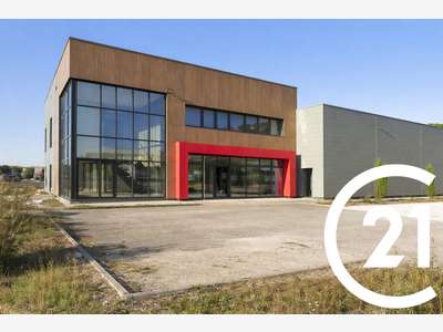 Immobilier Professionnel à louer 