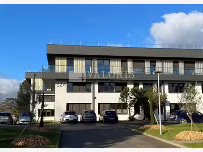 Bureaux 139m² R+2 à louer à Tassin-la-Demi-Lune
