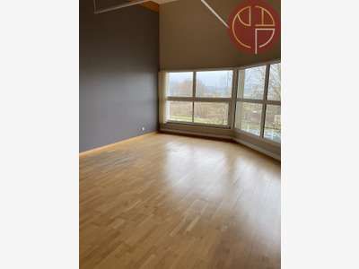 Loue bureaux de 480m² sur 2 niveaux Tournefeuille