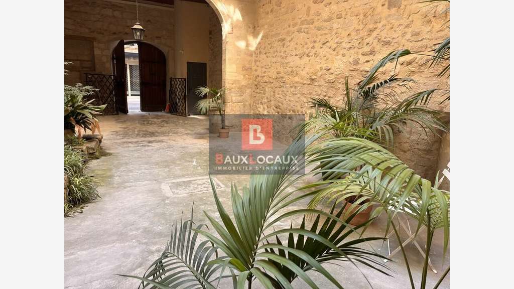 Local de 24m² à louer au centre ville d'Avignon 