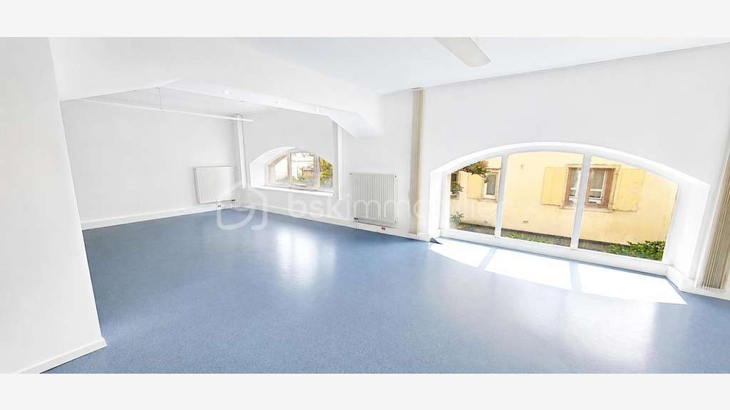 BENFELD - LOCAL PROFESSIONNEL 232,5 M² - IMMEUBLE