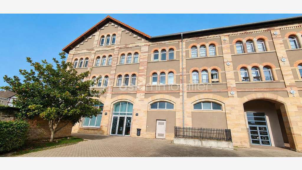 BENFELD - LOCAL PROFESSIONNEL 232,5 M² - IMMEUBLE