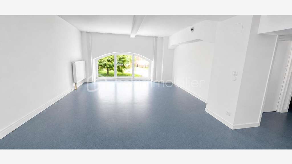 BENFELD - LOCAL PROFESSIONNEL 232,5 M² - IMMEUBLE
