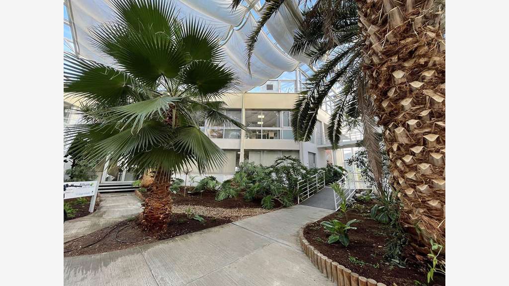 Bureaux 1135m² à louer Bordeaux Lac