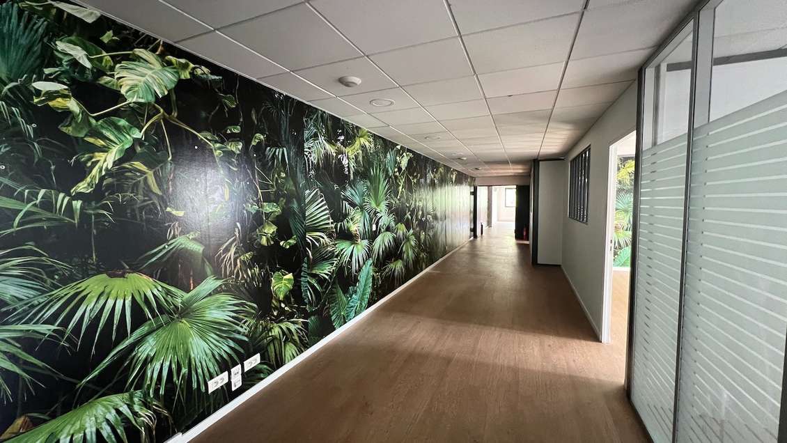 Bureaux 260 m2 dans bel immeuble Boulogne-Bill