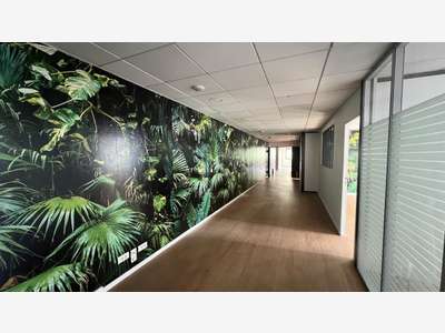 Bureaux 260m² dans bel immeuble Boulogne-B.