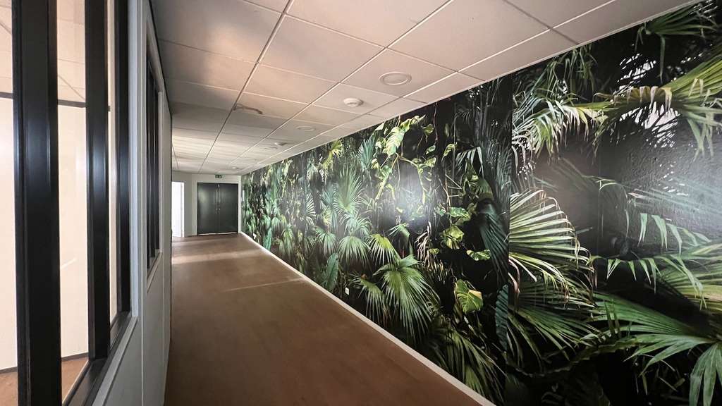 Bureaux 260m² dans bel immeuble Boulogne-B.