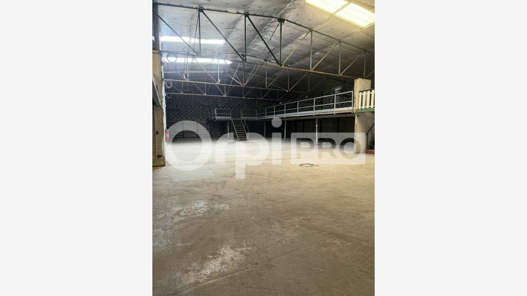 Bâtiment pro de 661m² à louer en ZI à Cayenne 
