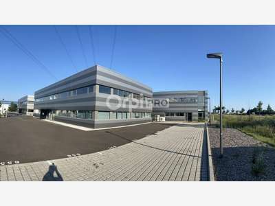 Bureau 77m² R+1 à louer à Sainte-Croix-en-Plaine