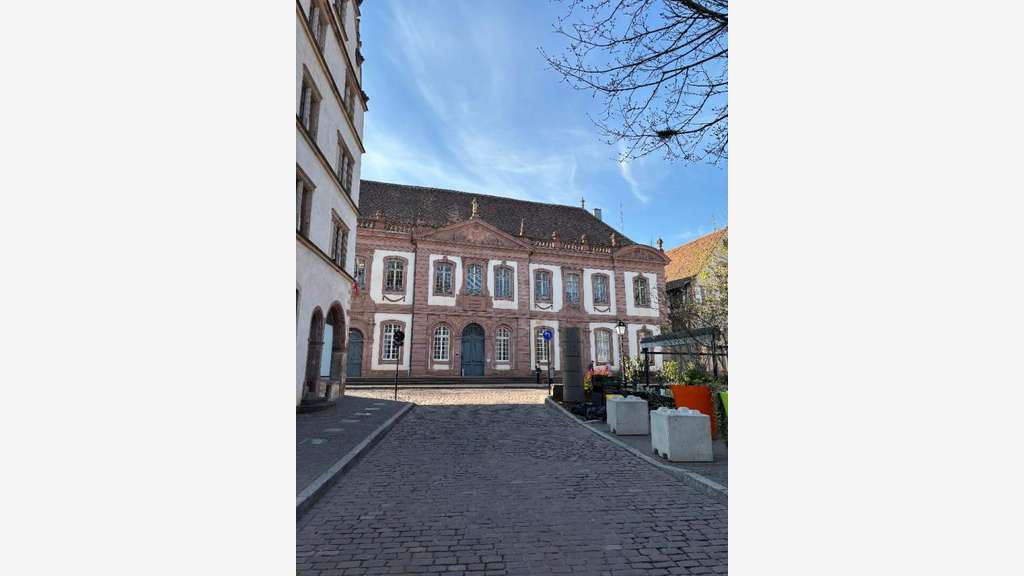 COLMAR HYPERCENTRE - BUREAUX, LOCAL PROFESSIONNEL