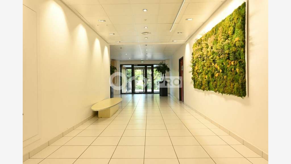 A louer bureaux lumineux 450m² en RDC à Dardilly