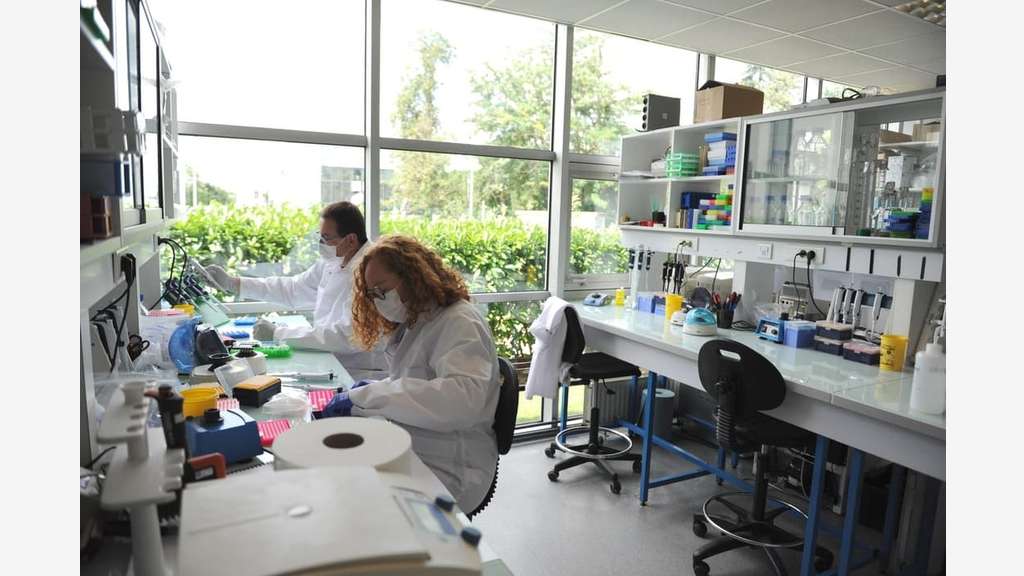 À louer laboratoires standards et L2 à Évry