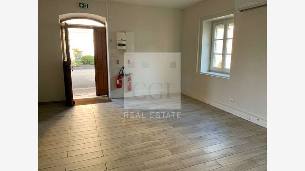 A louer bureaux meublés 300m² à Fleurieu-sur-Saône