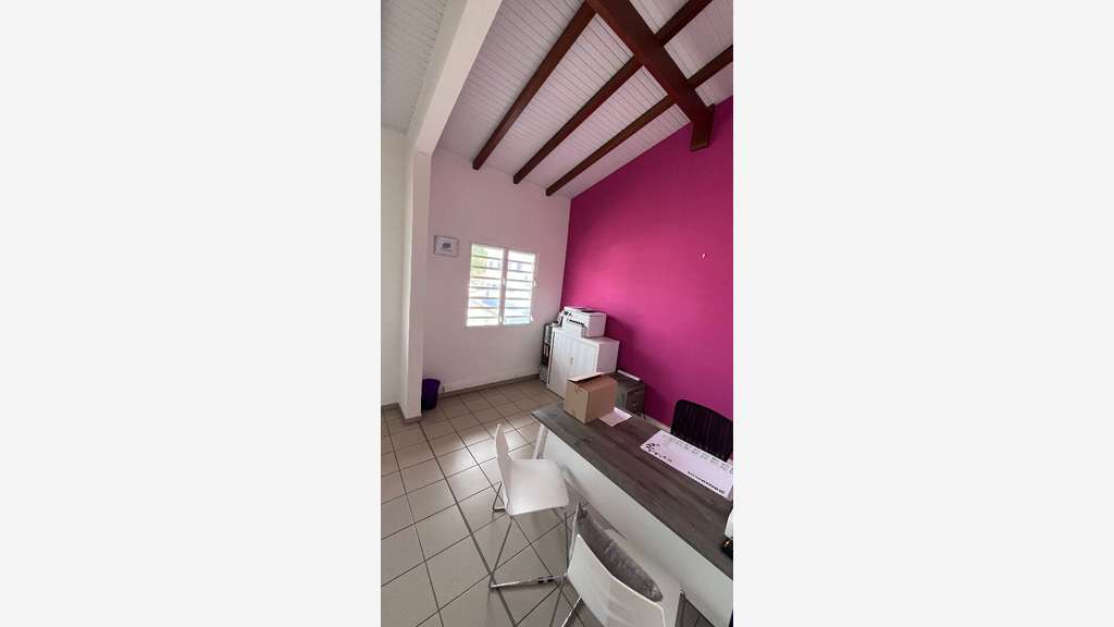 A louer bureaux professionnel 86m² ZF Dillon