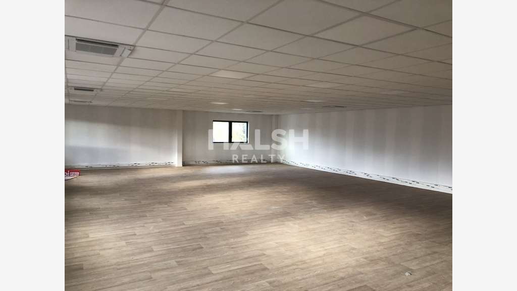Bureaux lumineux de 205m² à louer à Genay