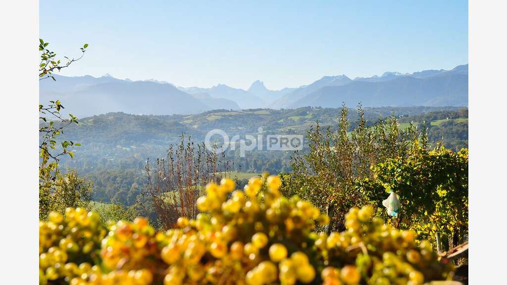 Bureau de 702m² à louer à Jurançon prox rocade