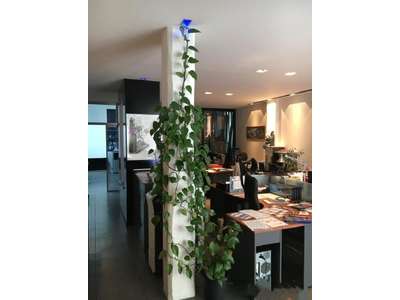 Location Bureaux au Havre