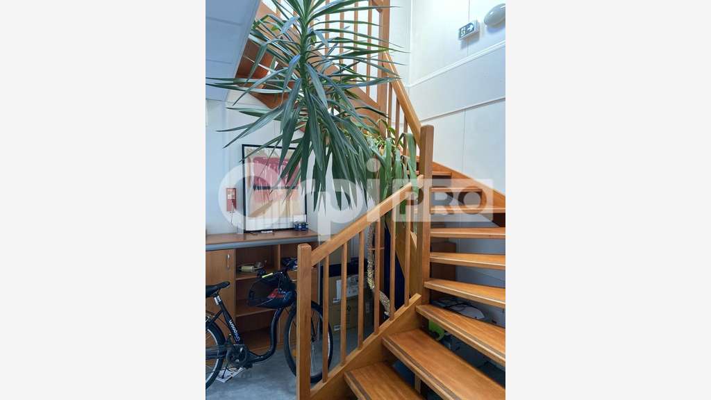 Bureau moderne 190m² à louer le Havre