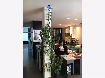 À louer bureaux de 101m² dans le centre du Havre