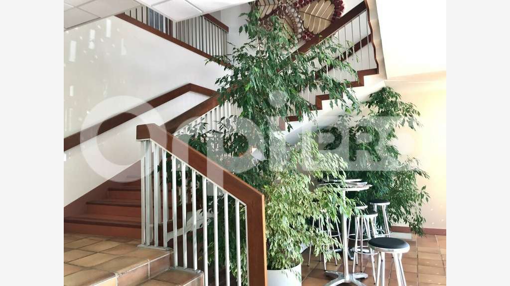 A LOUER - BUREAUX 1 925 m² - LIMOGES SUD