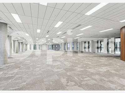 A louer bureaux flexibles 288m² à Limonest Techlid