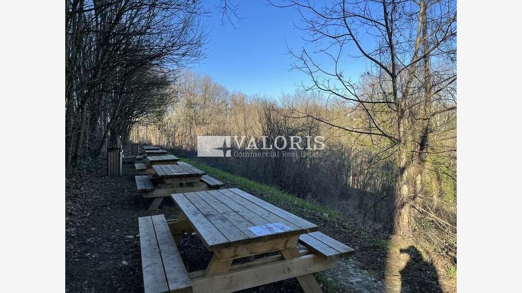 Location bureaux 142m² cadre verdoyant Limonest  