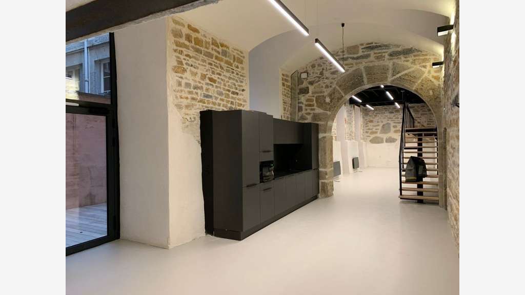 Local 220m² avec terrasse de 60m² Lyon 1er